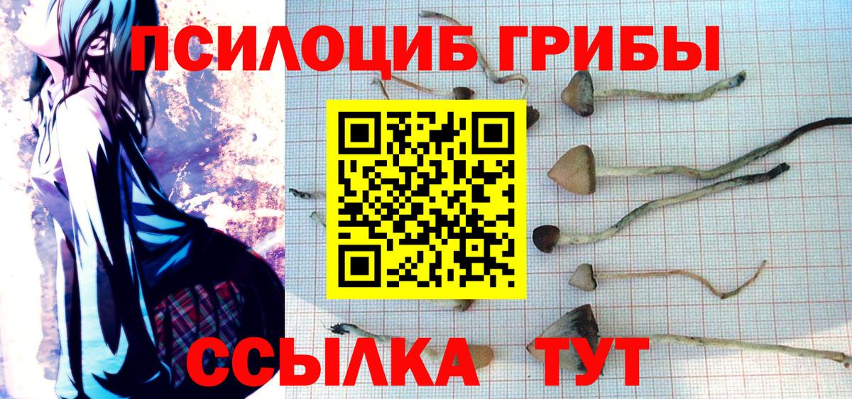Псилоцибиновые грибы GOLDEN TEACHER Новороссийск
